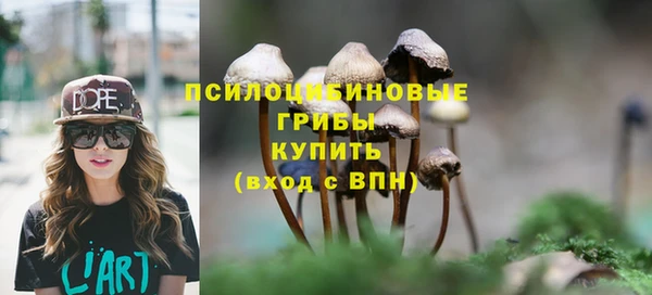 круглые Богданович