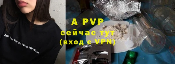 apvp Магадан