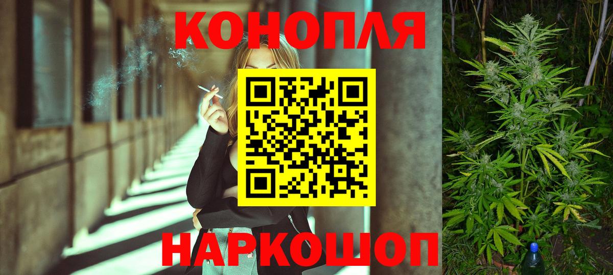 Бошки Шишки планчик Комсомольск-на-Амуре